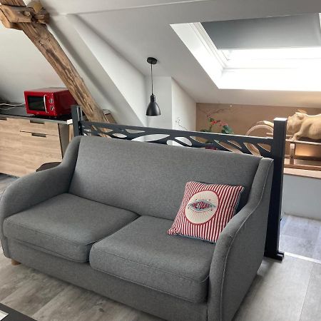 Au Cochon Qui Rit Appartement Flines-Les-Mortagne Buitenkant foto